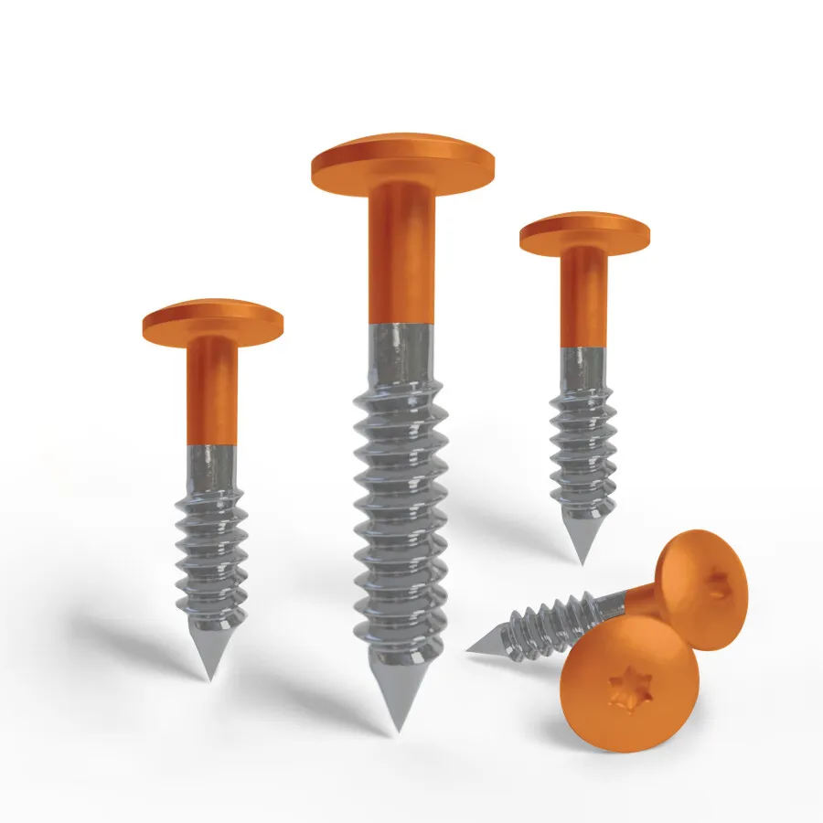 RVS Torx Schroef - Pasteloranje Ral 2003 4,8x25MM Doos à 100 stuks incl. T20 Bit